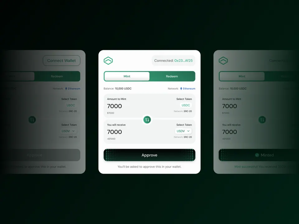 USDV swap flow — connect, amount entry and approve steps